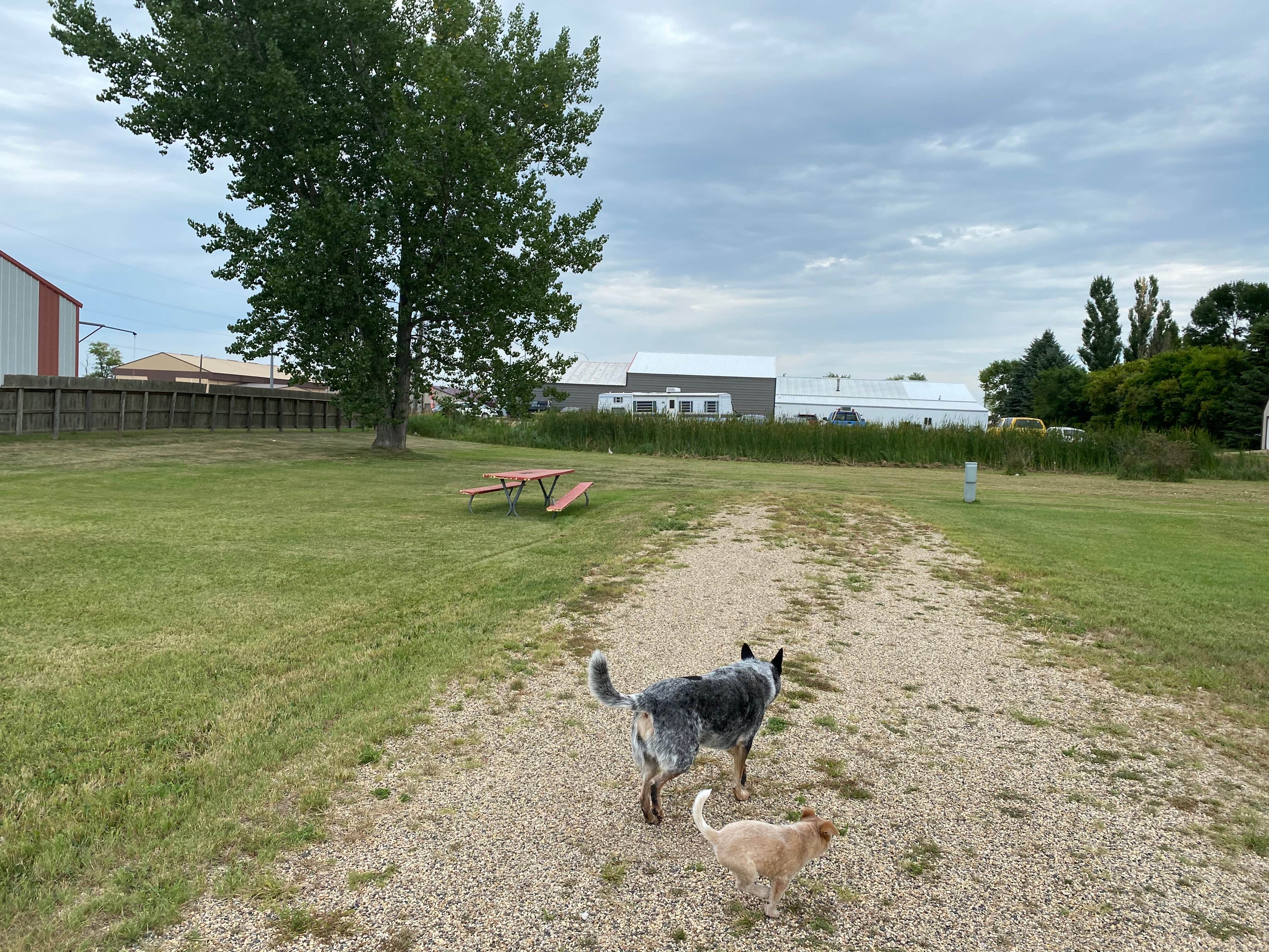Shelly S.'s photo of camping with pets at Chamber of Commerce Campground - Webster near Aberdeen, SD