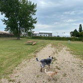 Review photo of Chamber of Commerce Campground - Webster by Shelly S., August 22, 2020