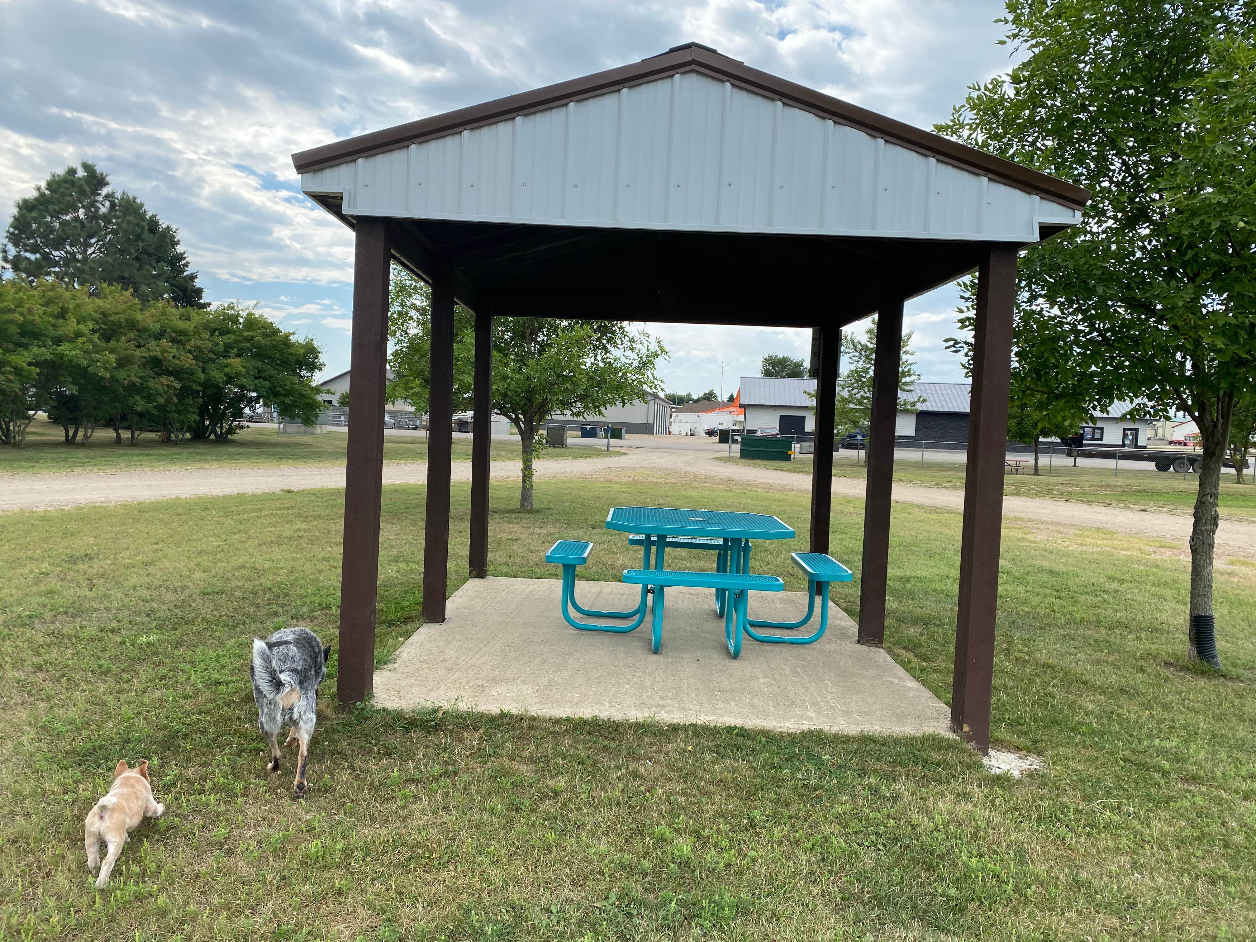 Camper-submitted photo at Chamber of Commerce Campground - Webster near Britton, SD