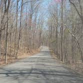 Review photo of Kings Mountain — Kings Mountain State Park by Angela B., May 5, 2018