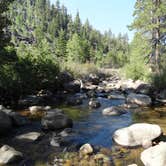 Review photo of Kit Carson Campground by Berton M., August 21, 2020