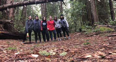 Little Basin Cabins and Campground - Big Basin Redwoods State Park CLOSED FOR FIRES