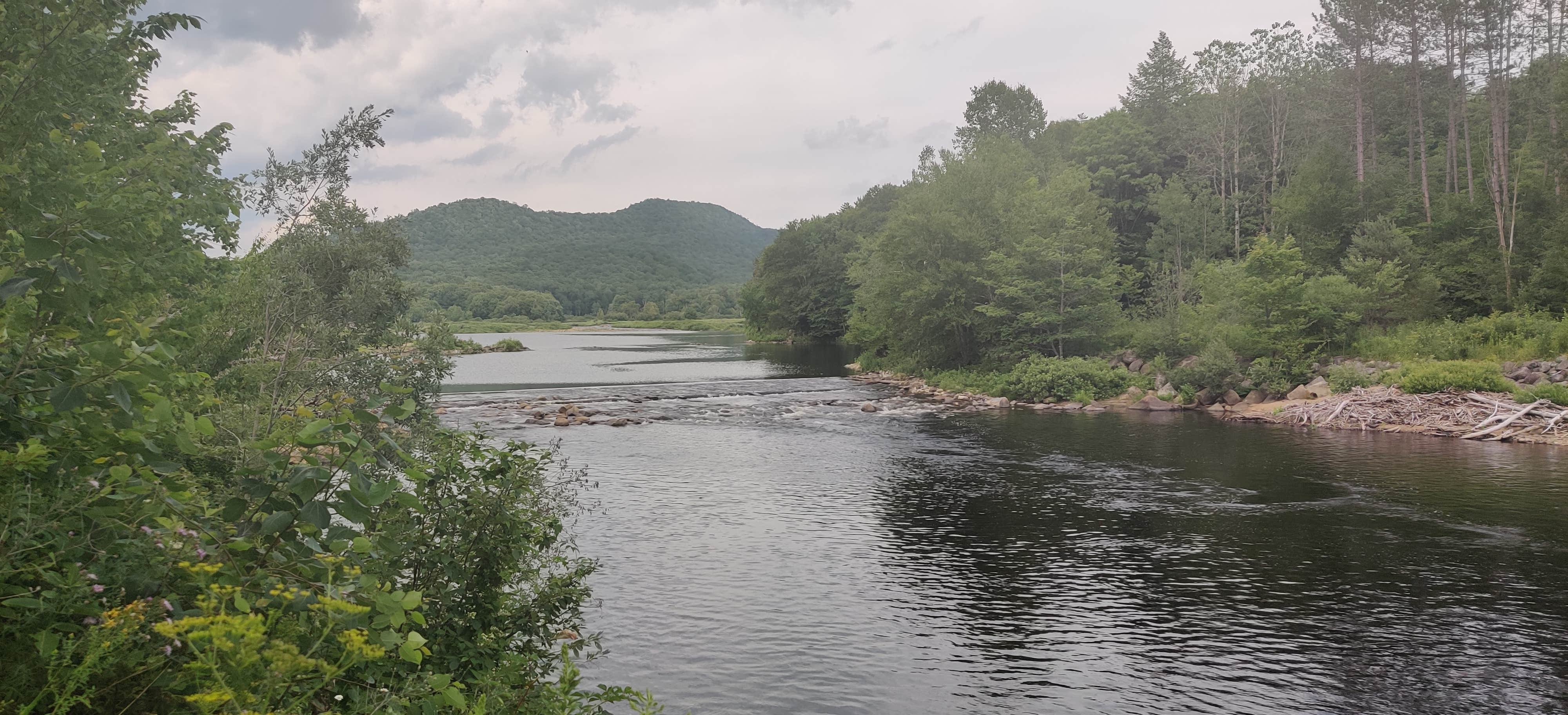 Moffitt Beach Campground The Dyrt