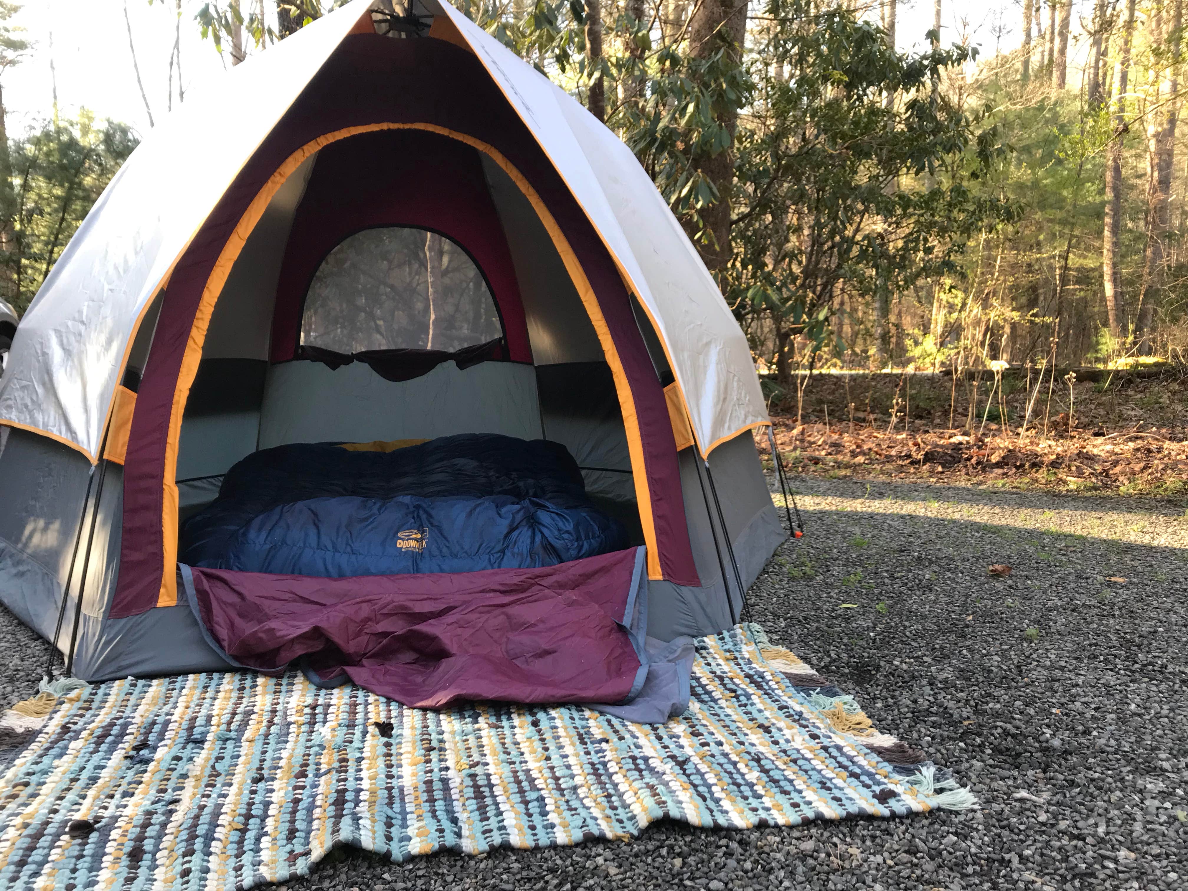 Travis S.'s photo at Davidson River Campground near Penrose, NC