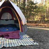 Review photo of Davidson River Campground by Travis S., May 5, 2018