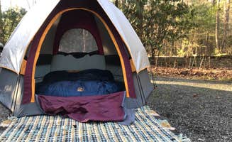 Travis S.'s photo at Davidson River Campground near Brevard, NC