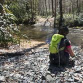 Review photo of Davidson River Campground by Travis S., May 5, 2018