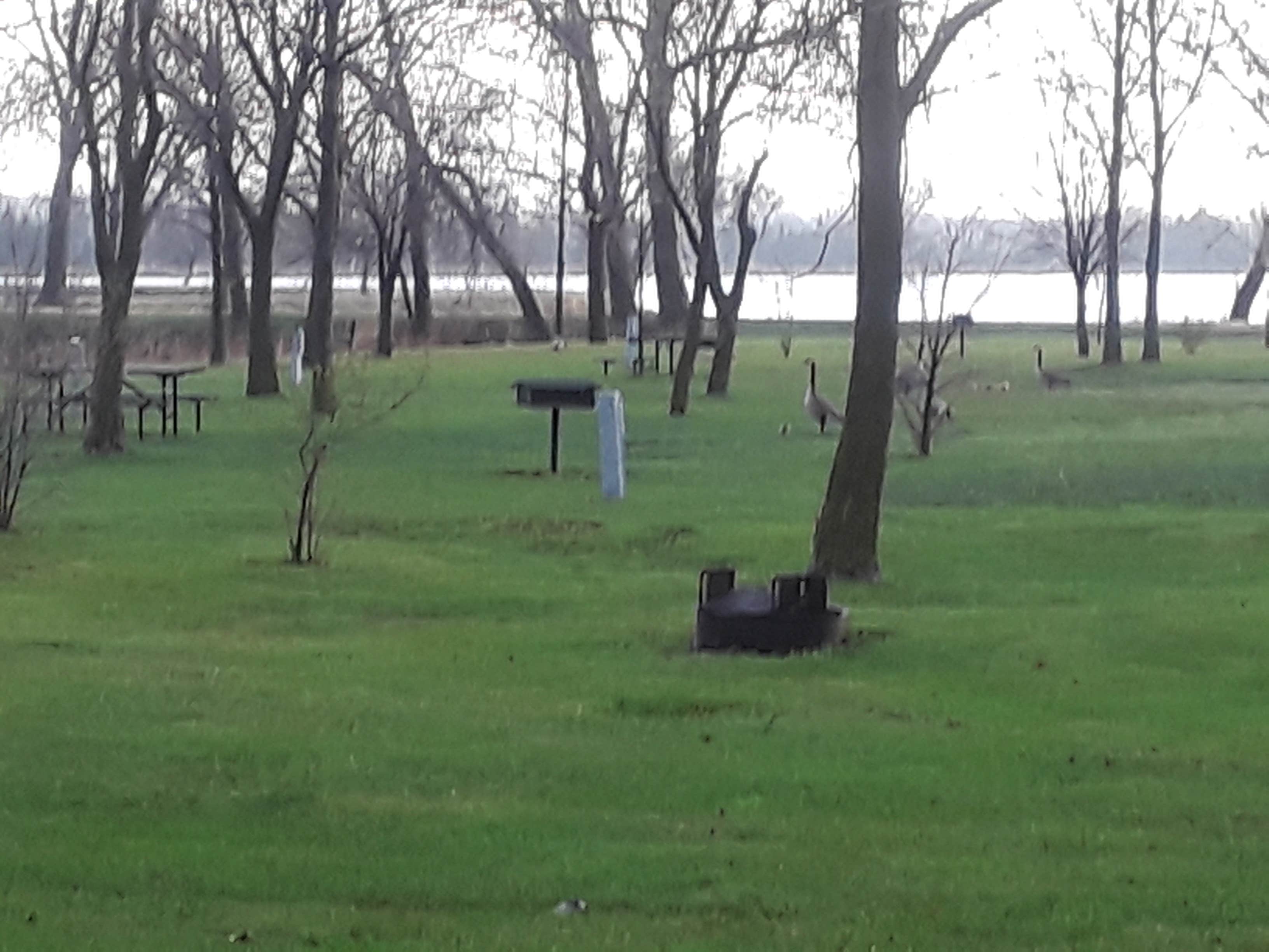 Camper-submitted photo at Alexandria Lakes  State Rec Area near Fairbury, NE