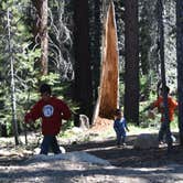 Review photo of Sierra National Forest Rancheria Campground by Regina P., May 5, 2018