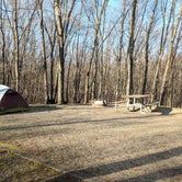 Review photo of Dunewood Campground — Indiana Dunes National Park by Tiffany K., May 5, 2018