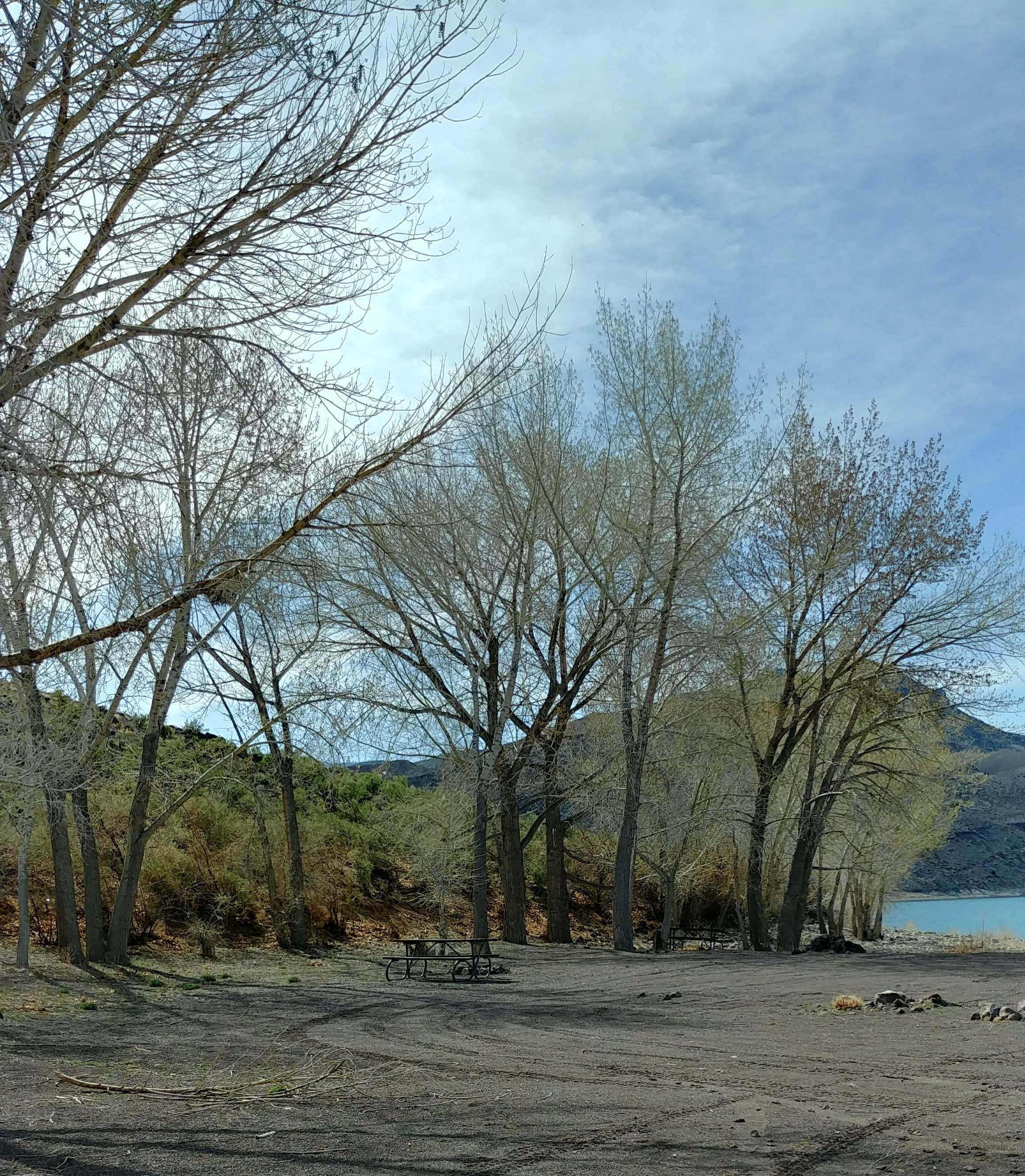 Camper submitted image from Piute State Park Campground - 1