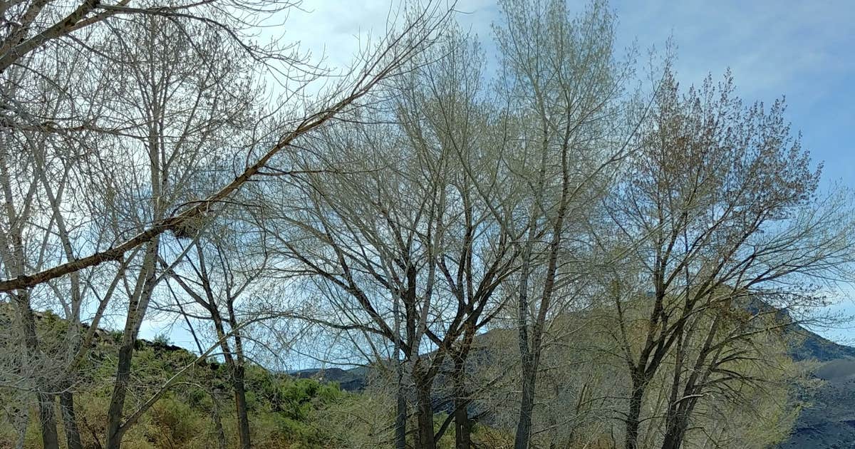 Piute State Park Campground