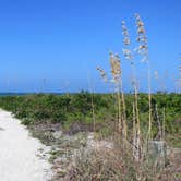 Review photo of Cayo Costa State Park Campground by David I., May 5, 2018