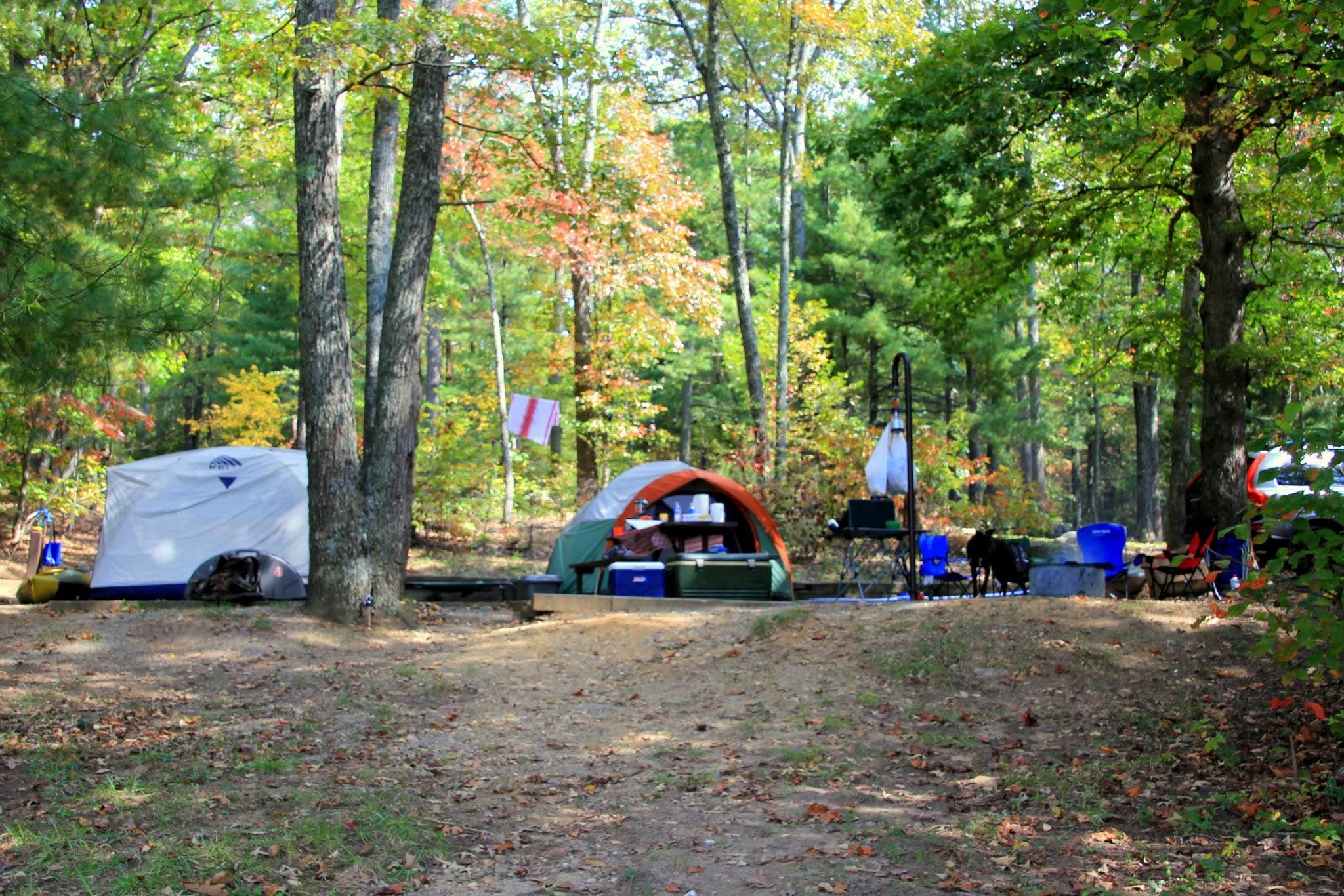 Jason I.'s photo at Chattahoochee-Oconee/Morganton Point near Epworth, GA