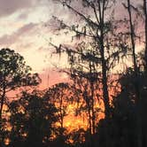 Review photo of Disney’s Fort Wilderness Resort & Campground by Lynn H., May 5, 2018