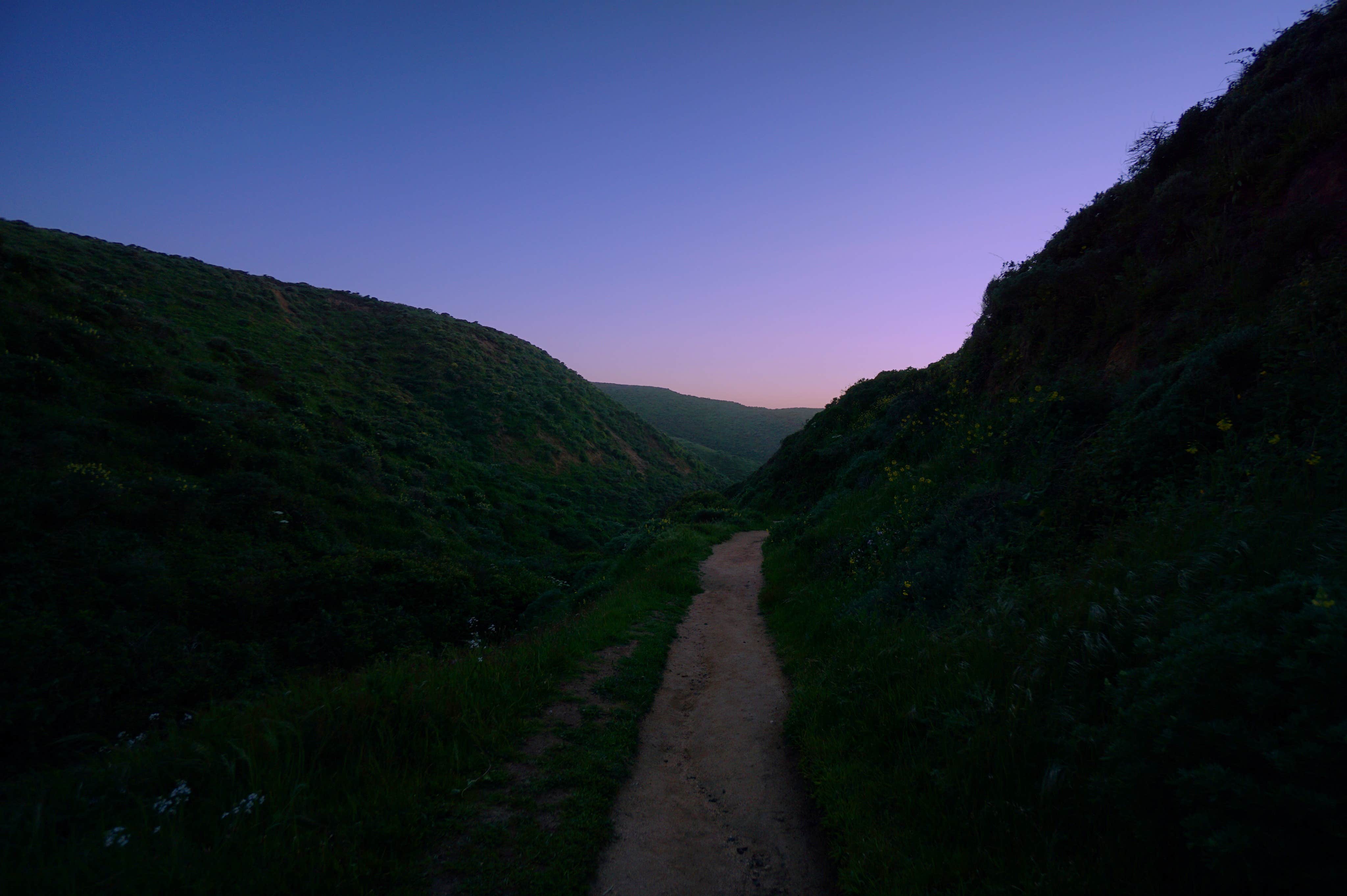 Camper submitted image from Sky Campground — Point Reyes National Seashore - 3