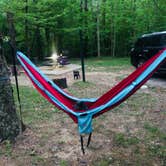 Review photo of Rock Island State Park Campground by Shelly S., May 6, 2018