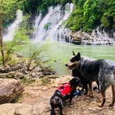 Review photo of Rock Island State Park by Shelly S., May 6, 2018