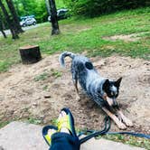 Review photo of Rock Island State Park Campground by Shelly S., May 6, 2018