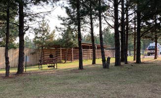 Anna H.'s photo of a cabin at Broken Arrow Horse and RV Campground near Custer, SD