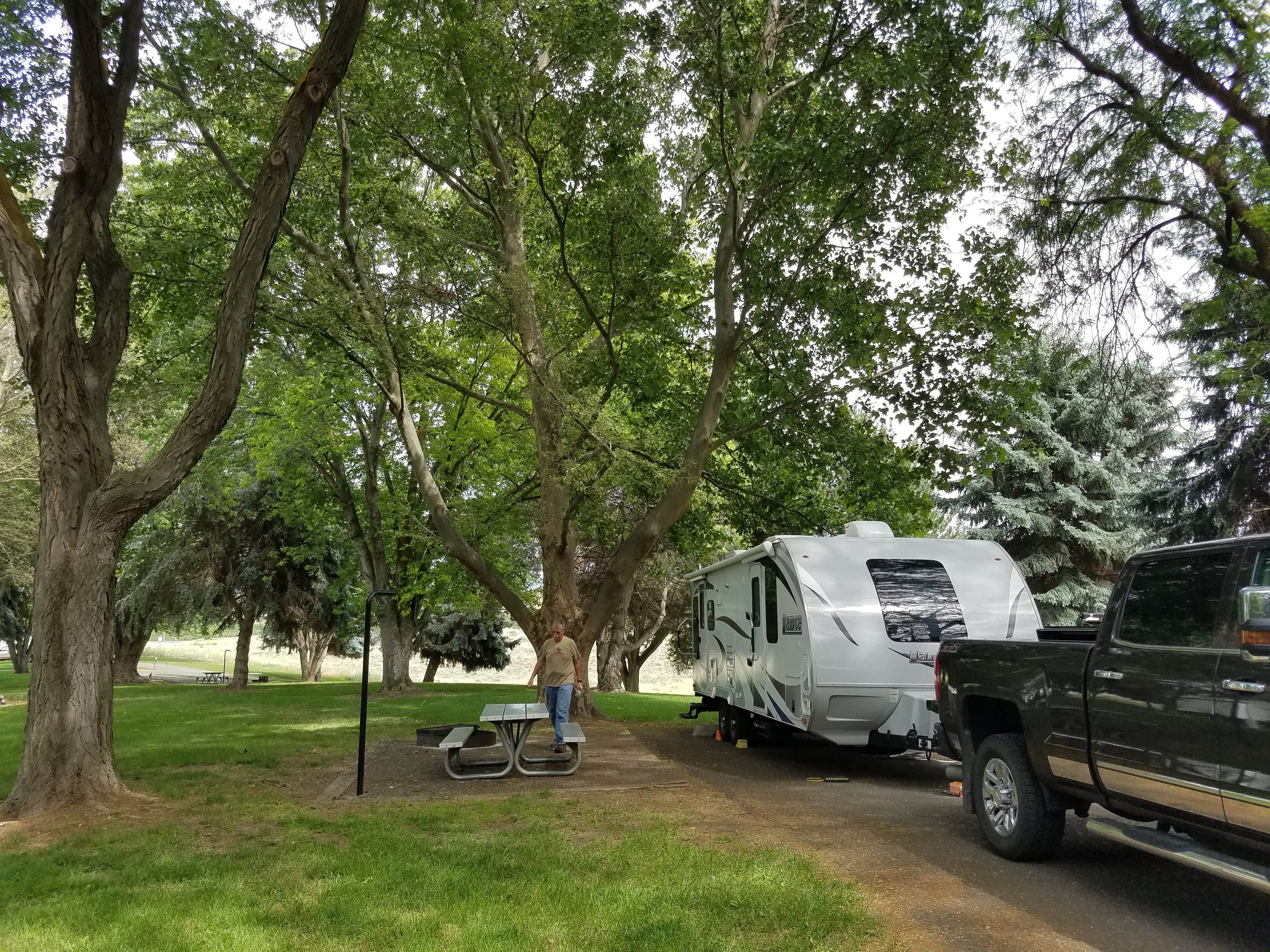 Camper submitted image from COE Lake Sacajawea Charbonneau Park - 5