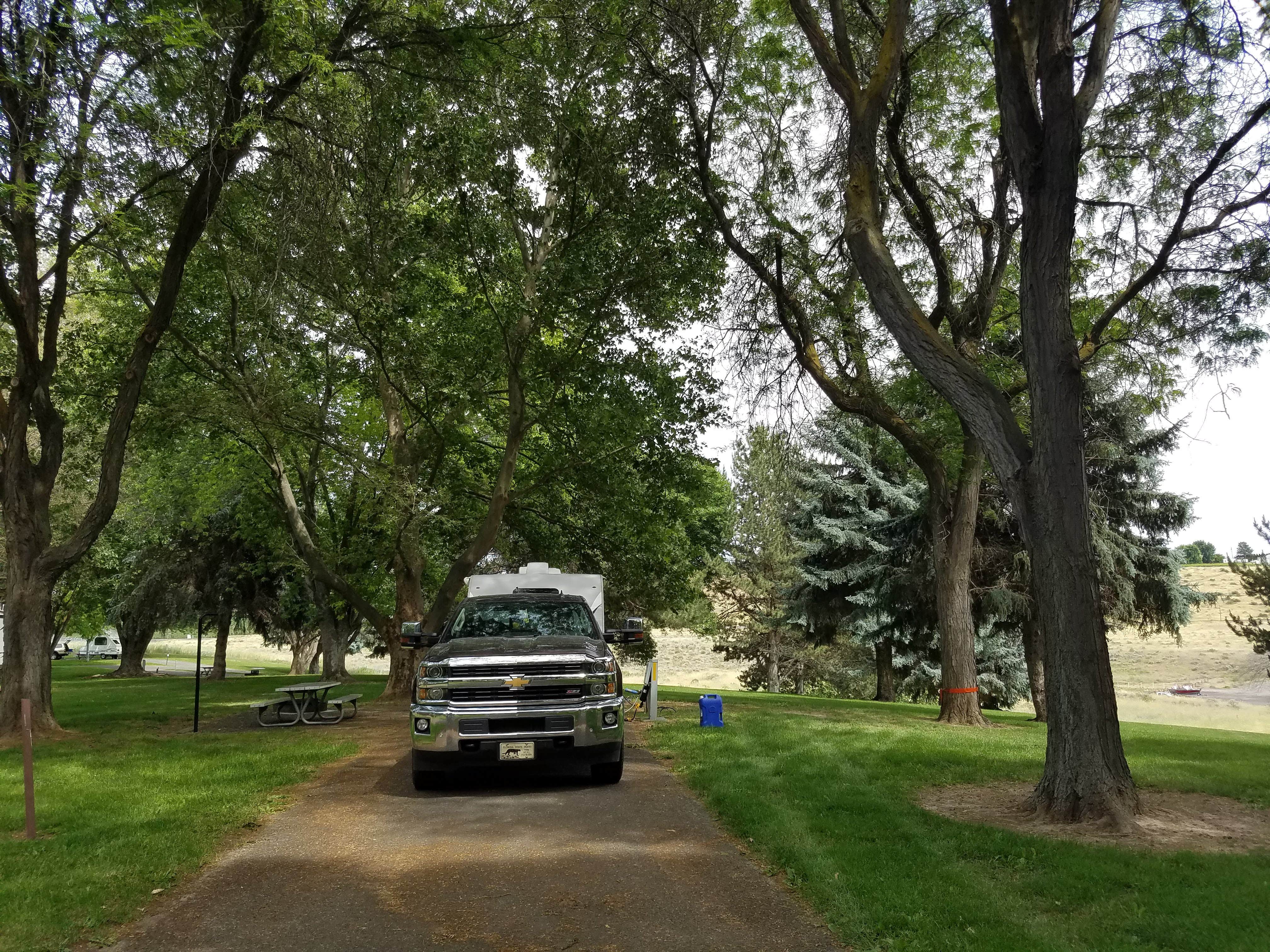 Camper submitted image from COE Lake Sacajawea Charbonneau Park - 5