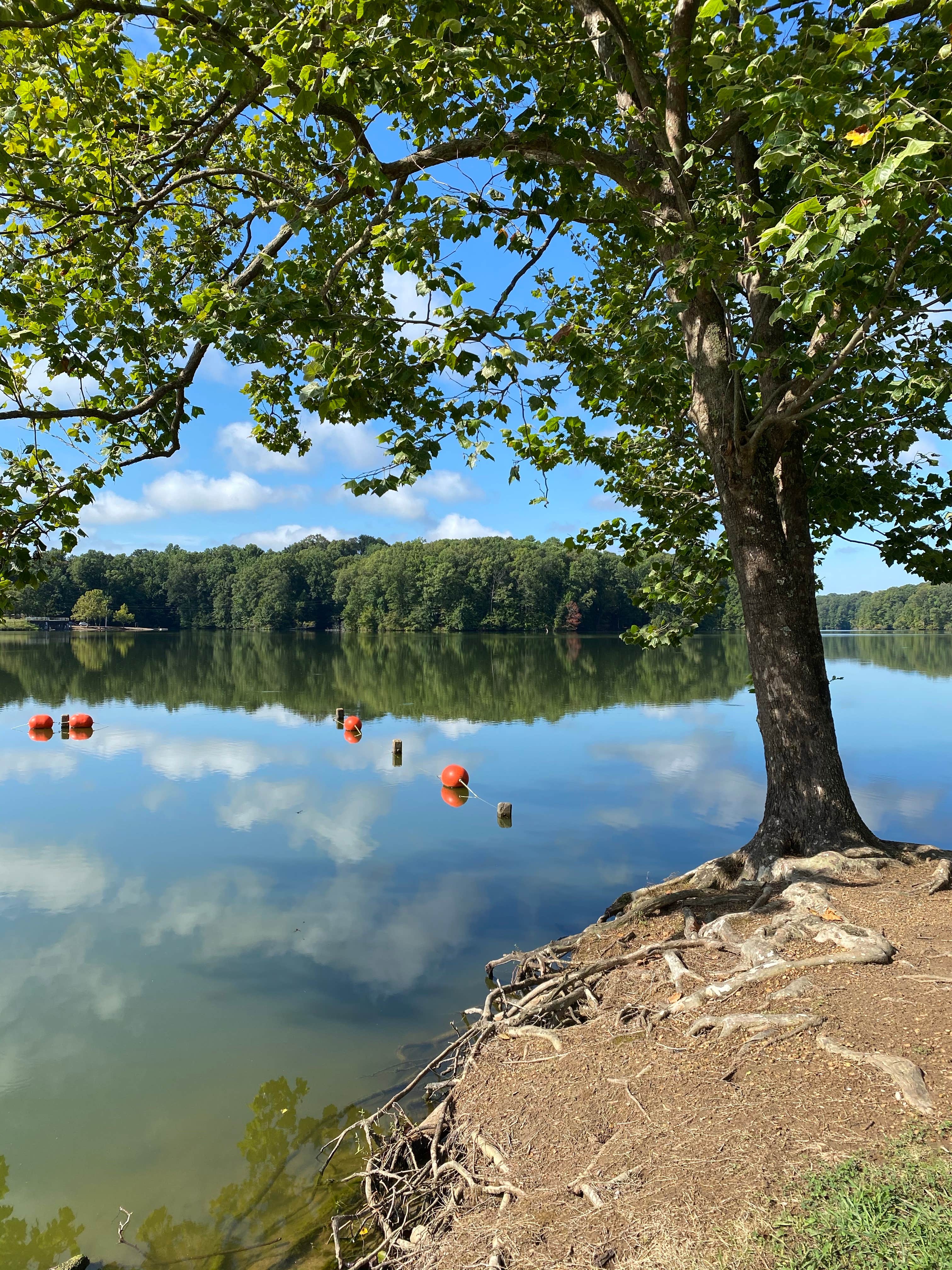 Camper submitted image from Storm Creek Lake Campground - 4