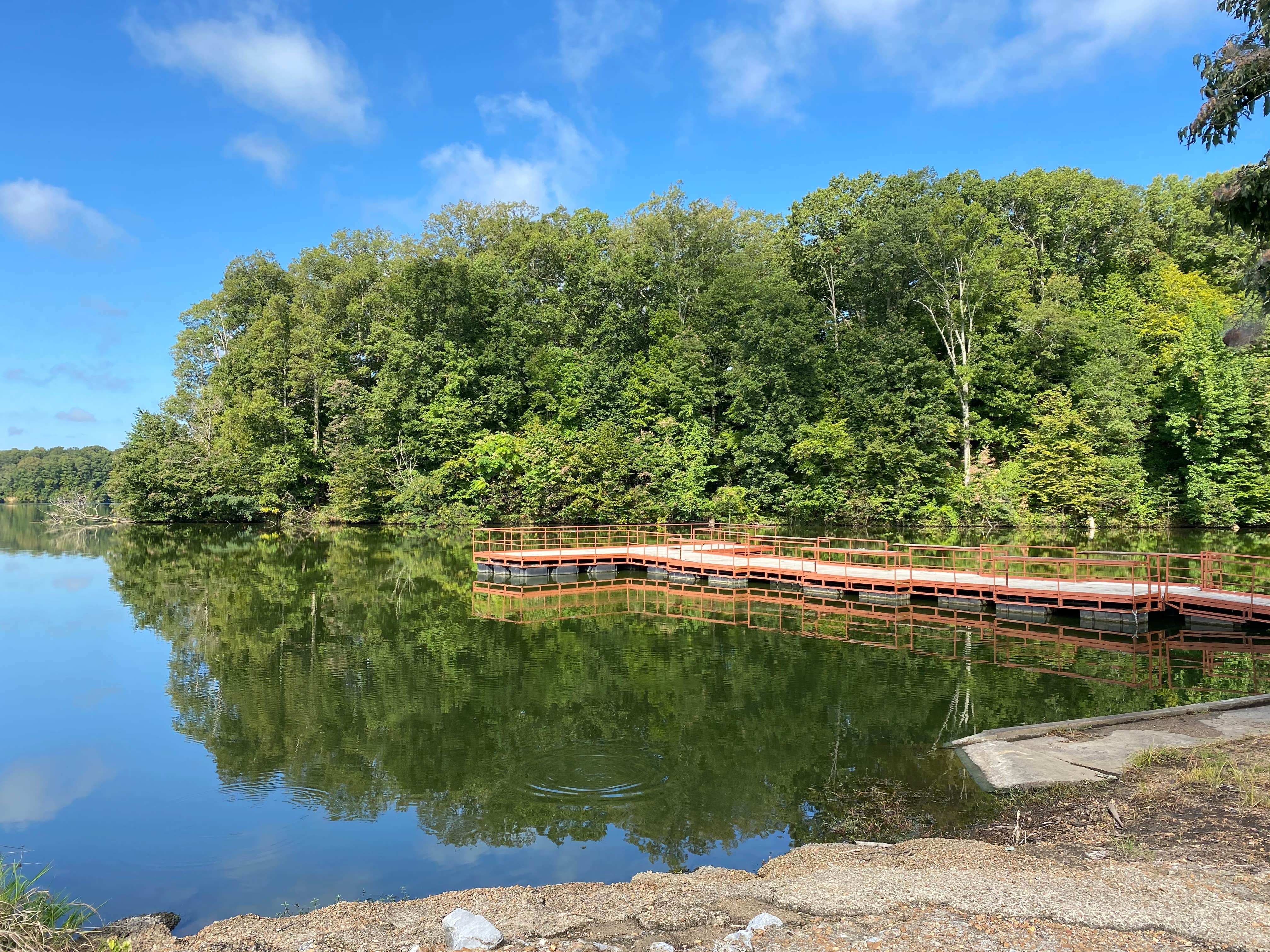 Camper submitted image from Storm Creek Lake Campground - 3