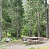 Review photo of Powell Campground by Annell N., August 22, 2020