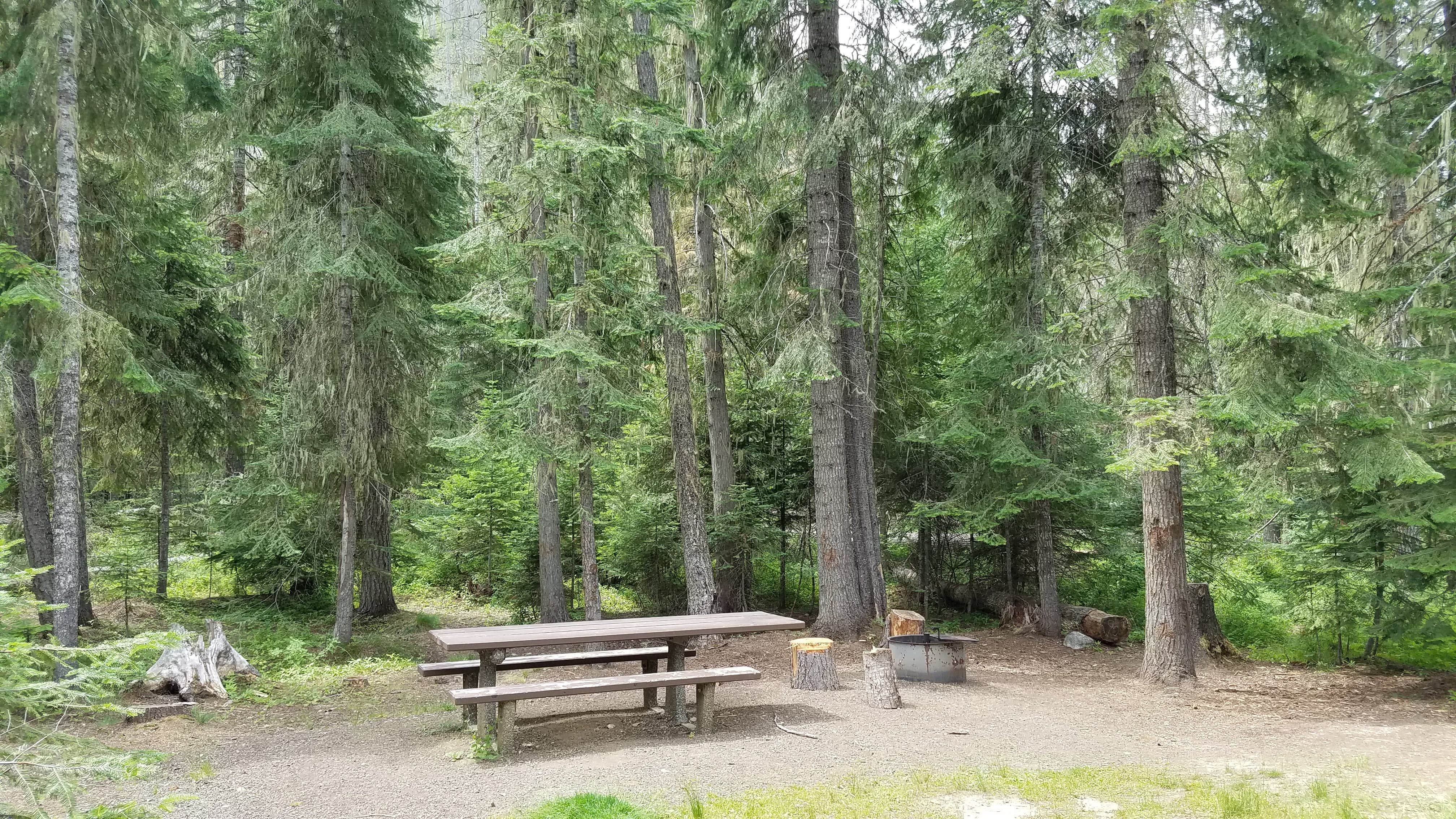 Camper submitted image from Powell Campground - 3