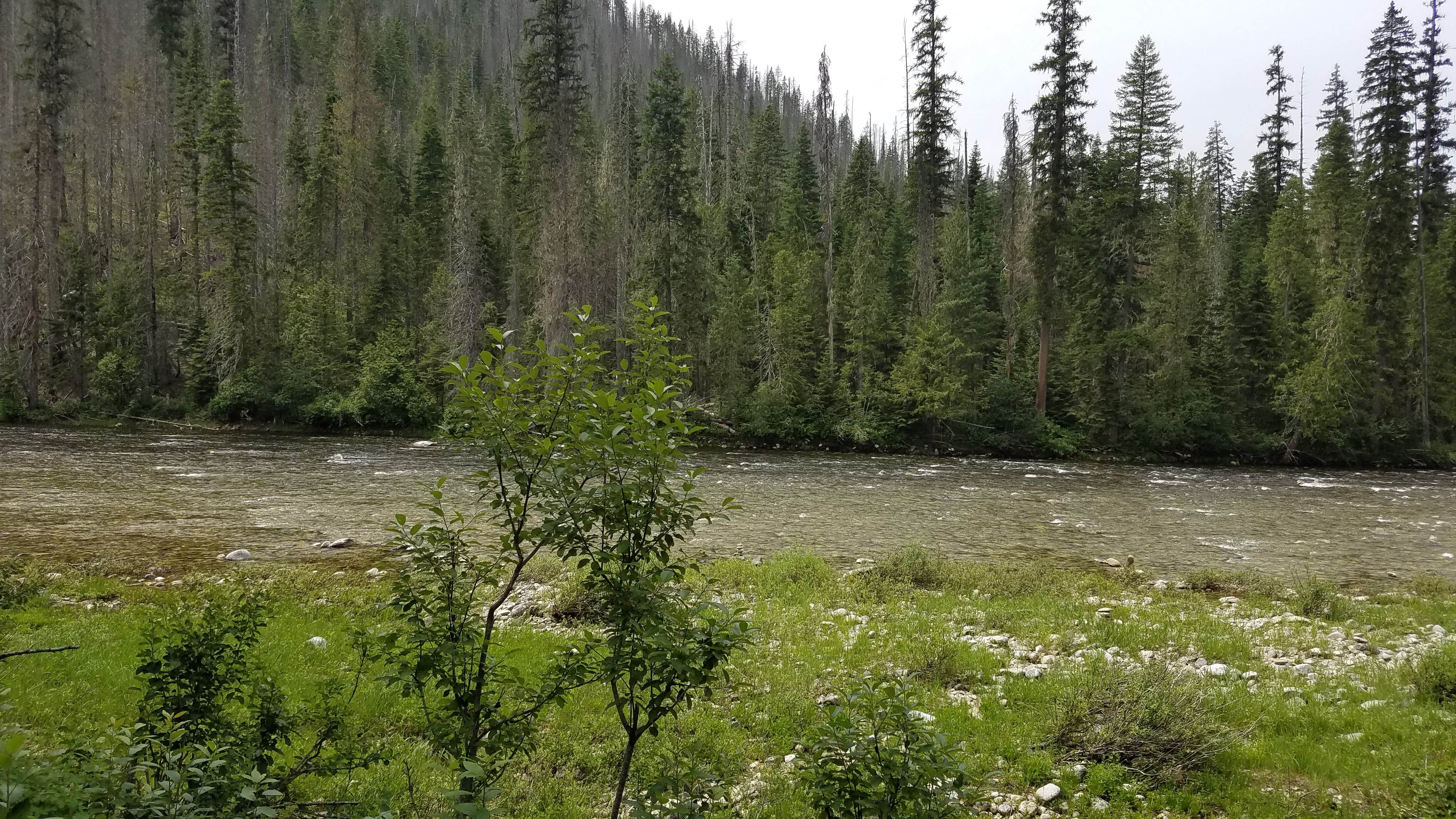 Nature