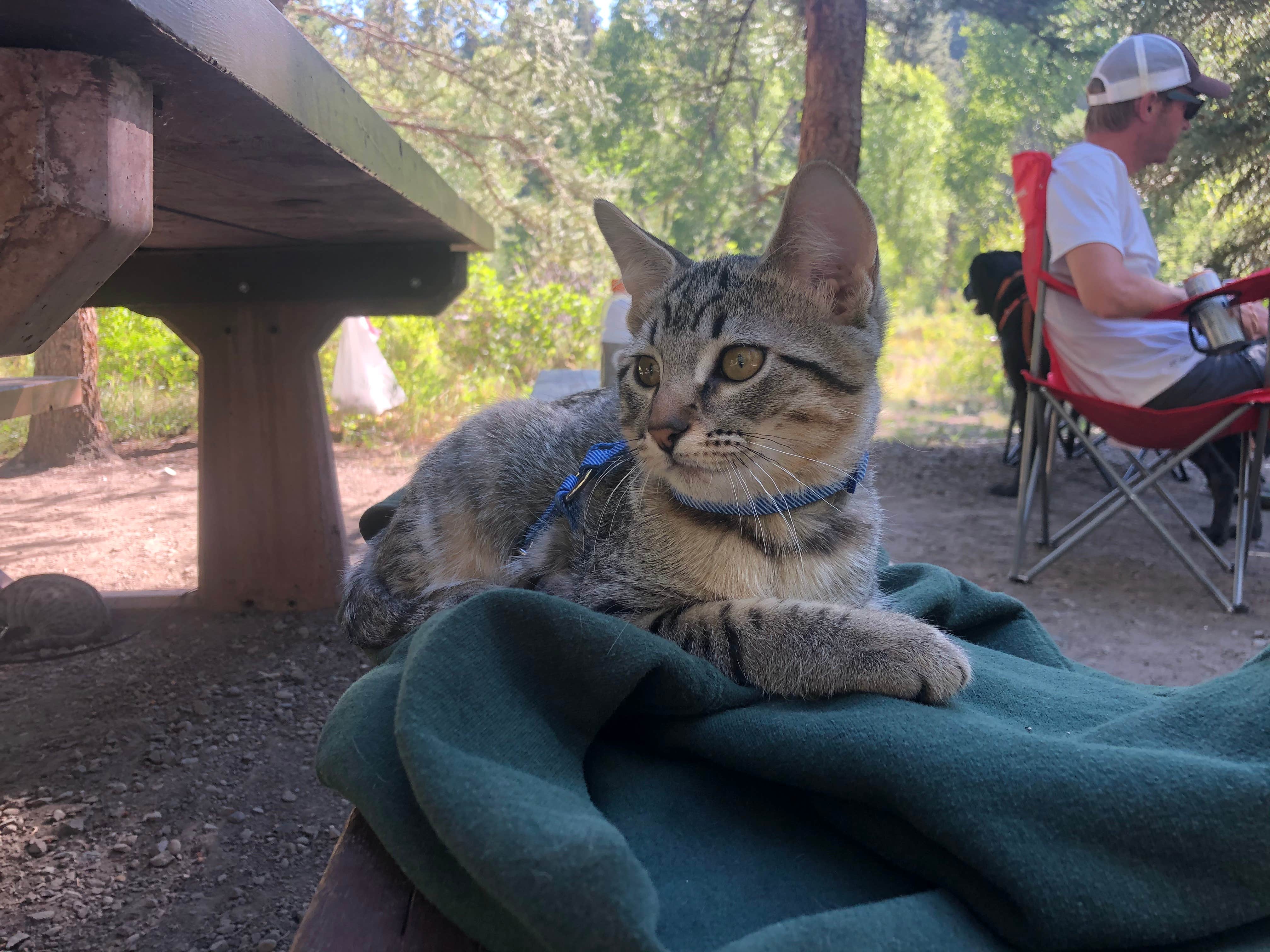 Camper-submitted photo at Soap Creek Corral near Black Canyon of the Gunnison National Park
