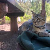 Review photo of Soap Creek Corral by Colleen M., August 22, 2020