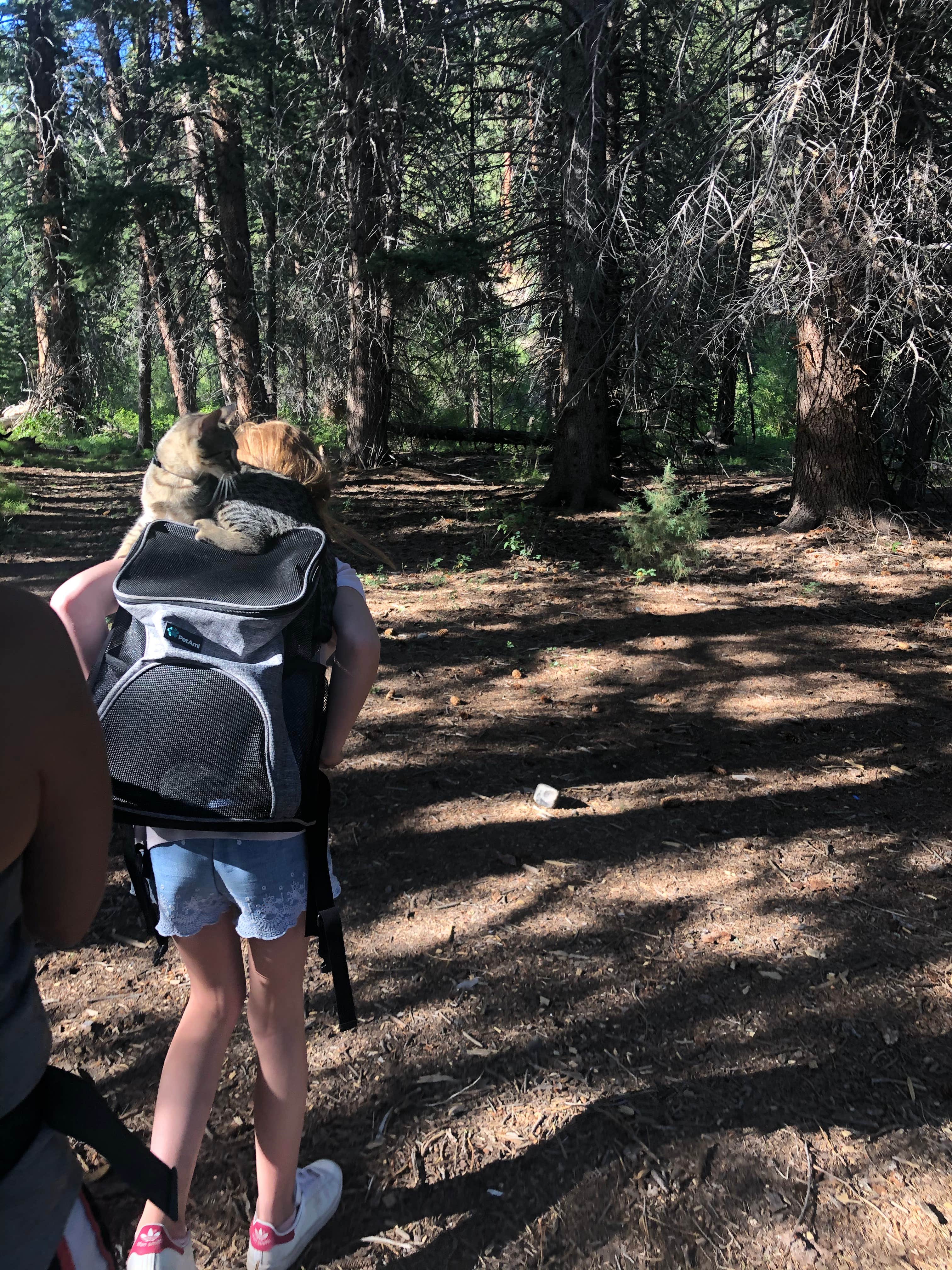 Camper-submitted photo at Soap Creek Corral near Black Canyon of the Gunnison National Park