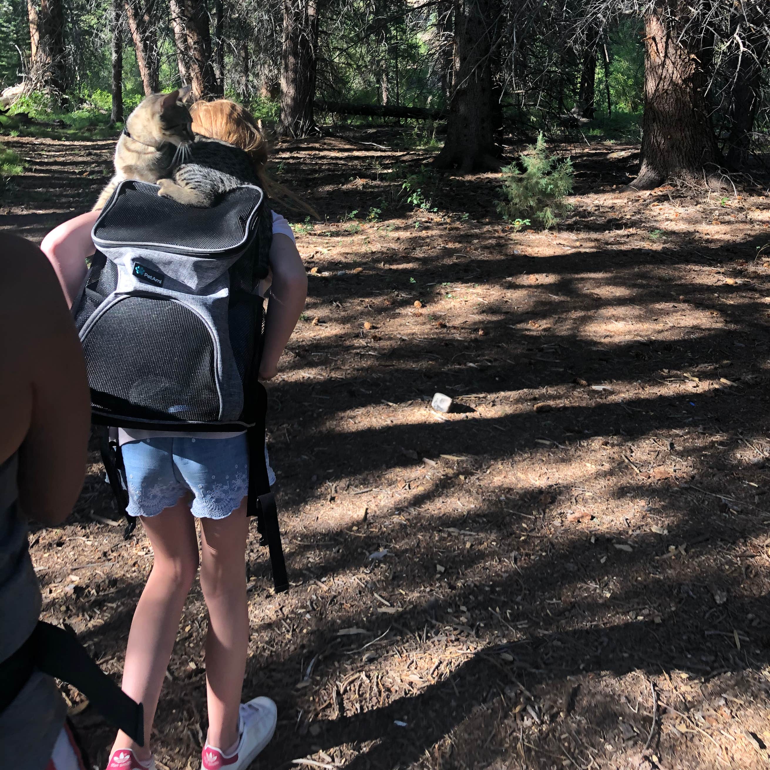 Soap Creek Corral Camping The Dyrt