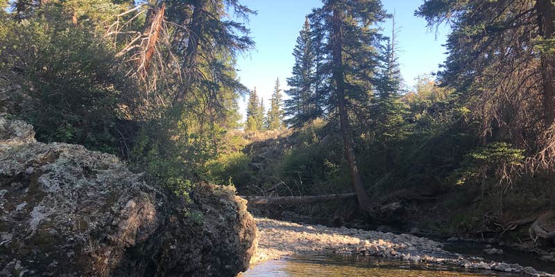 Camper submitted image from Soap Creek Corral