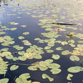 Review photo of Lost Lake State Recreation Site by Tanya B., August 22, 2020