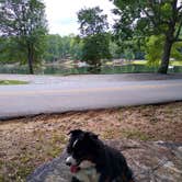 Review photo of Franklin D Roosevelt State Park Campground by Carol L., August 22, 2020