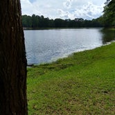 Review photo of Franklin D Roosevelt State Park Campground by Carol L., August 22, 2020