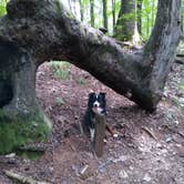 Review photo of Franklin D Roosevelt State Park Campground by Carol L., August 22, 2020