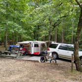 Review photo of Franklin D Roosevelt State Park Campground by Carol L., August 22, 2020