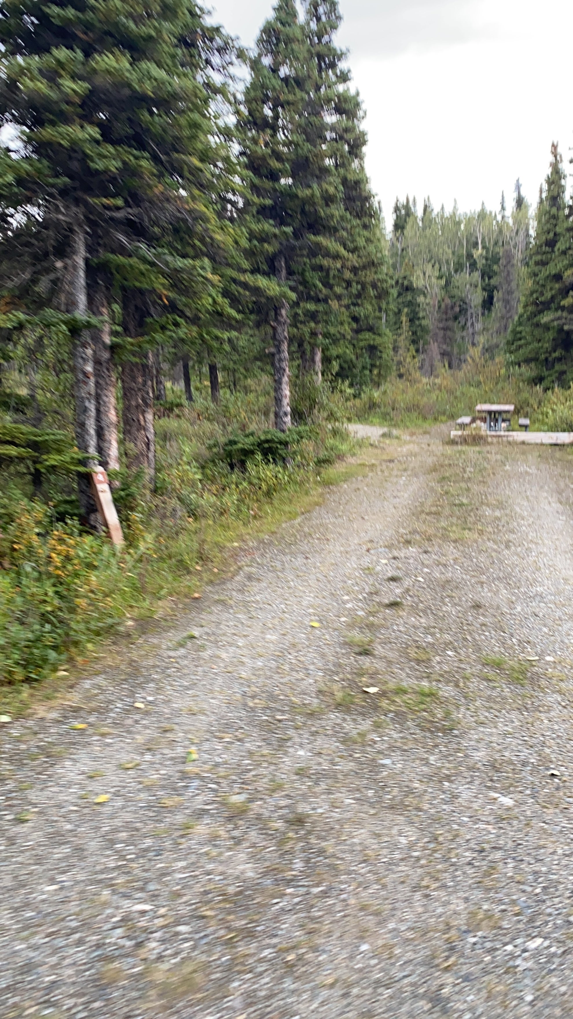Camper submitted image from Donnelly Creek State Rec Area - 3