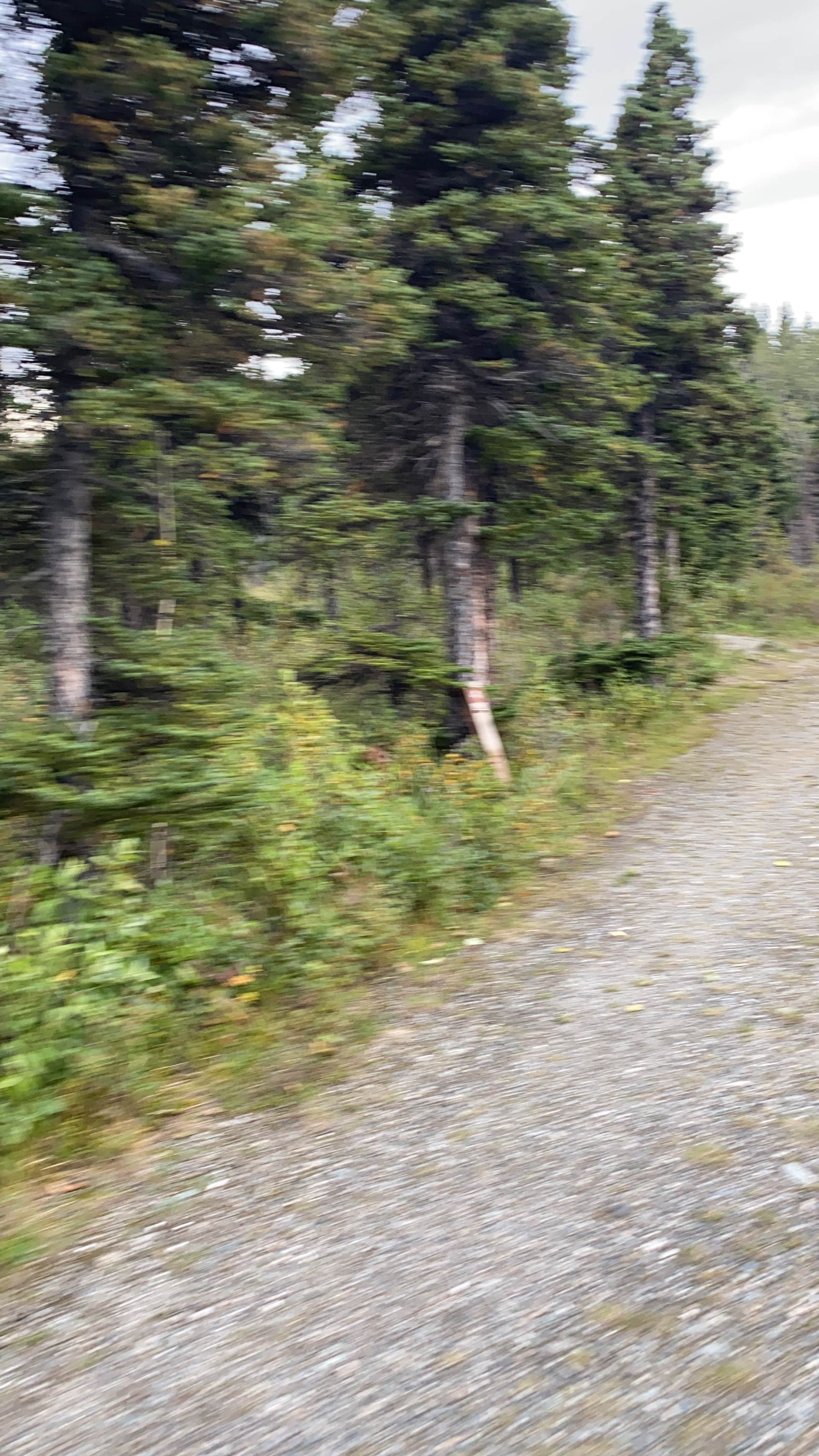 Camper-submitted photo at Donnelly Creek State Rec Area near Fort Greely, AK