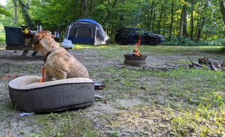 Danielle C.'s photo of camping with pets at Sand Creek Campground near Michigan City, IN