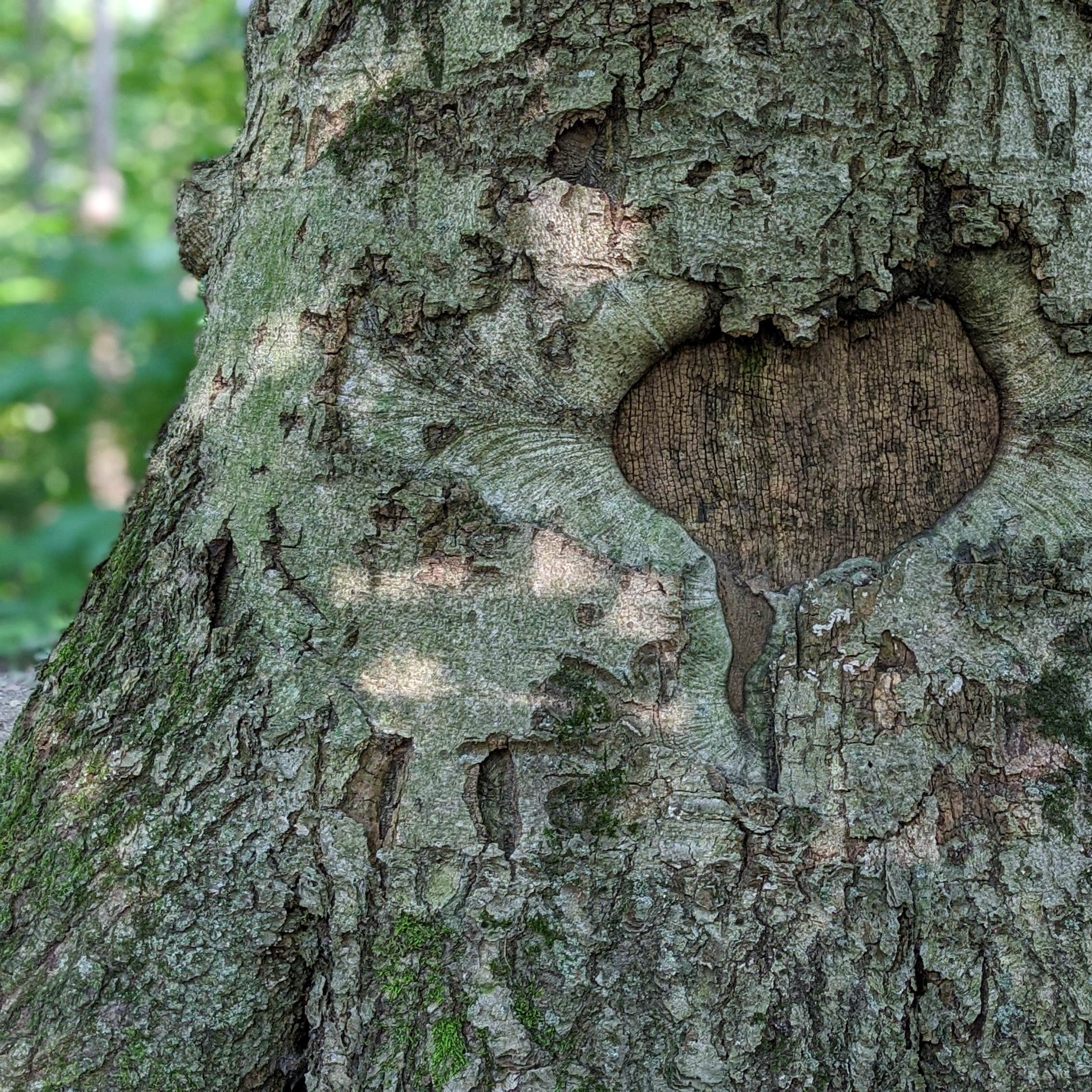 Sand Creek Campground Camping The Dyrt