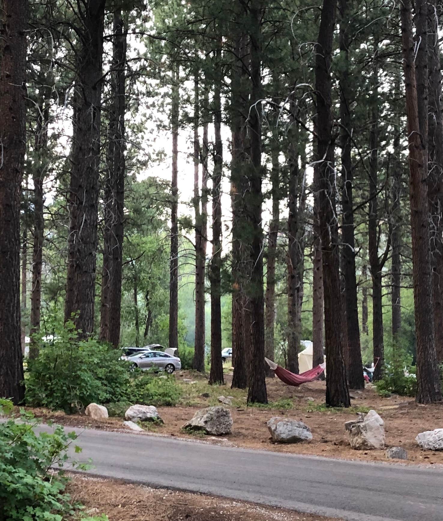 Camper-submitted photo at Ponderosa Uinta near Nephi, UT