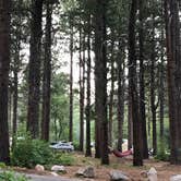 Review photo of Ponderosa Uinta by Jacqueline  L., August 22, 2020