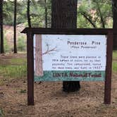 Review photo of Ponderosa Uinta by Jacqueline  L., August 22, 2020