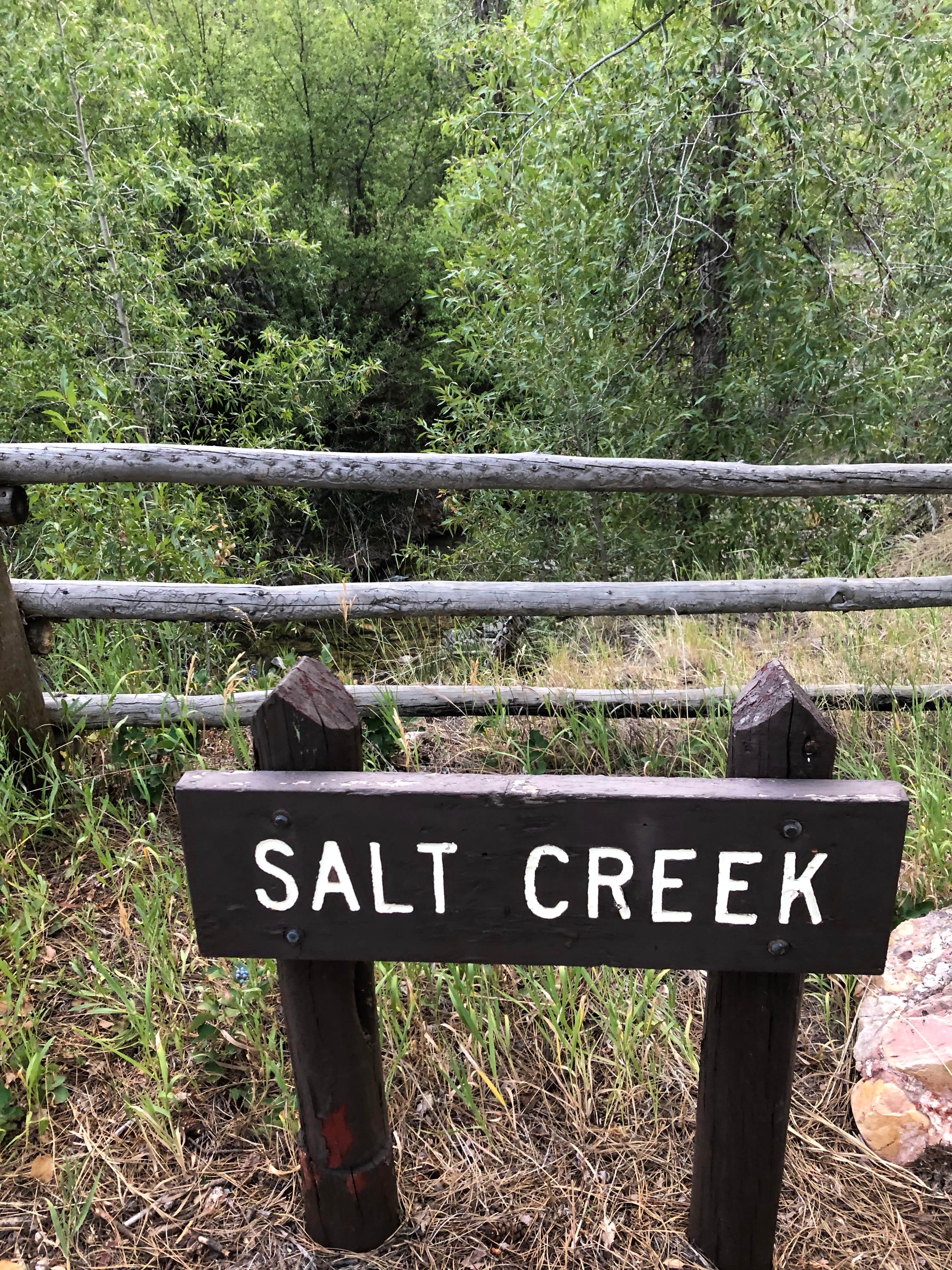Camper-submitted photo at Ponderosa Uinta near Nephi, UT