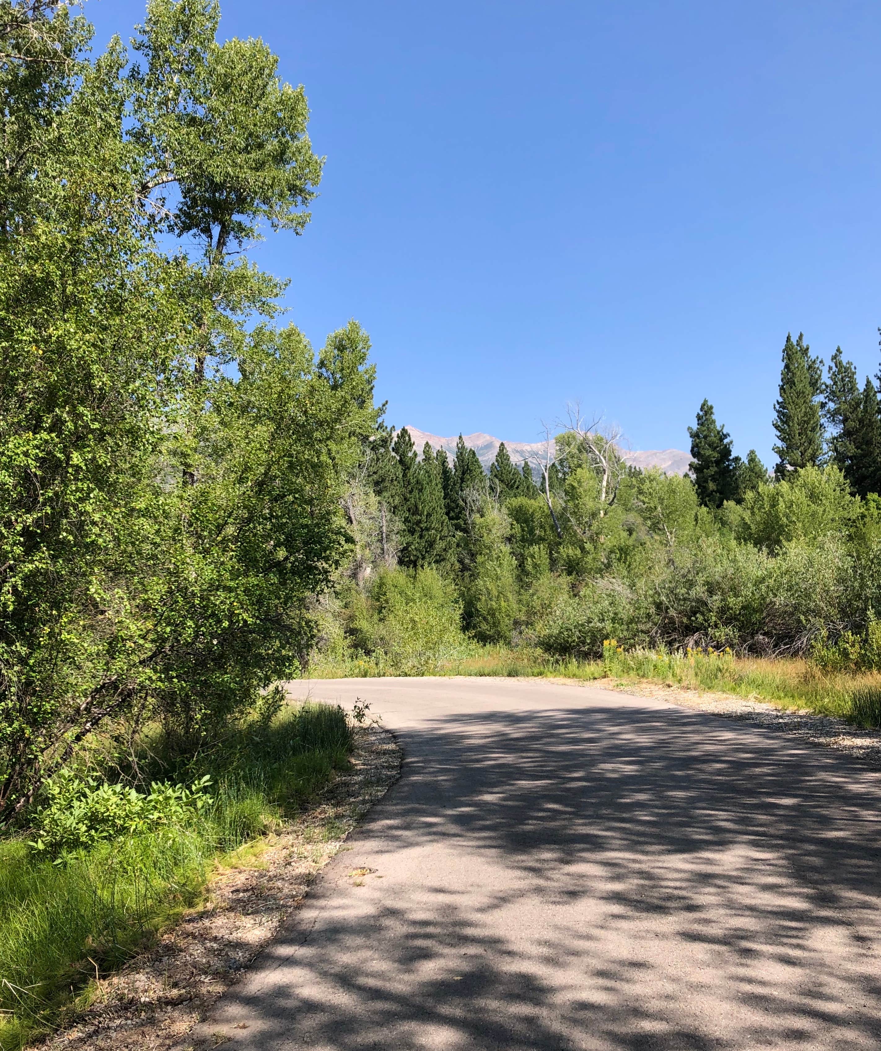 Camper-submitted photo at Ponderosa Uinta near Nephi, UT